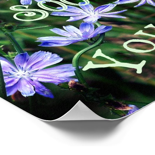 Nature Soothes Wild Chicory Inspirational Poster (Ecke)