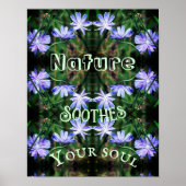 Nature Soothes Wild Chicory Inspirational Poster (Vorne)