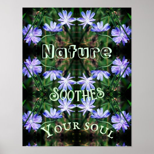 Nature Soothes Wild Chicory Inspirational Poster (Vorne)