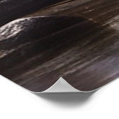 *~* Nature STREAM AP49 MOOSE Forest Poster (Ecke)