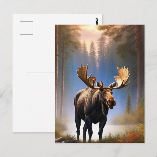 *~* Nature STREAM AP49 MOOSE Forest Postkarte (Vorne/Hinten)