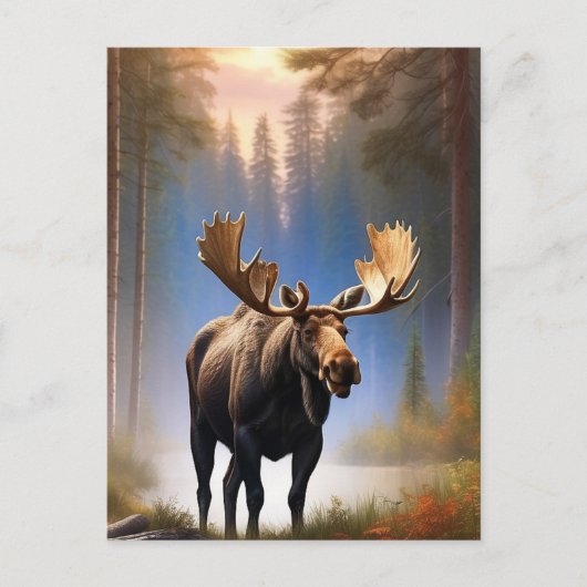 *~* Nature STREAM AP49 MOOSE Forest Postkarte (Vorderseite)