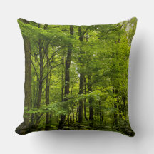 Nature Summer Green Forest Foto