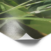 Nature Tiger Bamboo Fotodruck (Ecke)