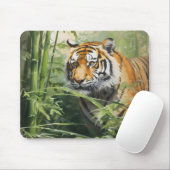 Nature Tiger Bamboo Mousepad (Mit Mouse)
