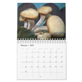 Nature up Nah Kalender (Feb 2027)