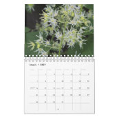 Nature up Nah Kalender (Mär 2027)