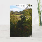 nature way of impersonating animals karte (Vorderseite)