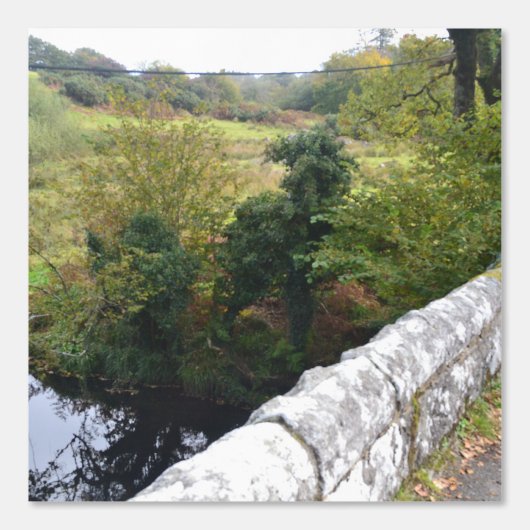 nature way of impersonating animals tapete (Vorderseite)