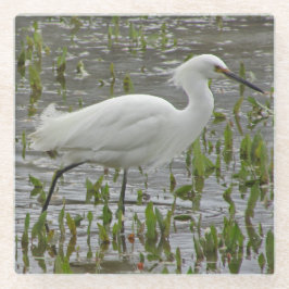 Nature White Wading Bird Foto Grosses Egret Glasuntersetzer