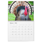 Nature Wild Turkey Kalender (Feb 2026)