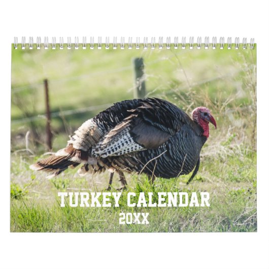 Nature Wild Turkey Kalender (Titelbild)
