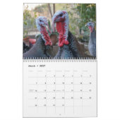 Nature Wild Turkey Kalender (Mär 2027)