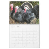 Nature Wild Turkey Kalender (Jan 2027)