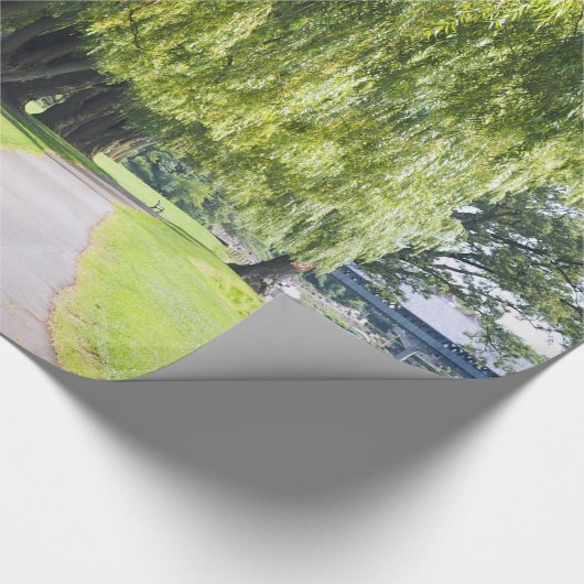 Nature Willow River Pathway Foto Geschenkpapier (Ecke)