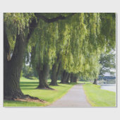Nature Willow River Pathway Foto Geschenkpapier (Flach)