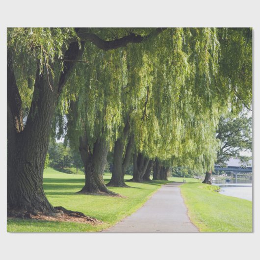 Nature Willow River Pathway Foto Geschenkpapier (Flach)