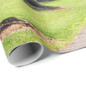 Nature Willow River Pathway Foto Geschenkpapier (Rolleneckpunkt)