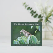 Naturefotografie Brown Thrasher Vogelbeobachter Ca Postkarte (Stehend Vorderseite)