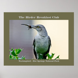Naturefotografie Mockingbird-Vogelbeobachter Poster