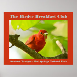 Naturefotografie Summer Tanager Vogelbeobachter Poster