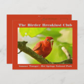Naturefotografie Summer Tanager Vogelbeobachter Postkarte (Vorne/Hinten)