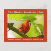 Naturefotografie Summer Tanager Vogelbeobachter Postkarte (Vorderseite)