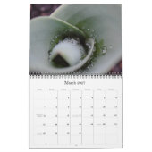 Naturefotografiekalender Kalender (Mär 2027)
