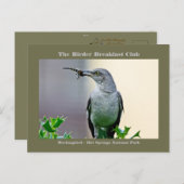Naturefotografy Mockingbird Vogelbeobachter Card Postkarte (Vorne/Hinten)