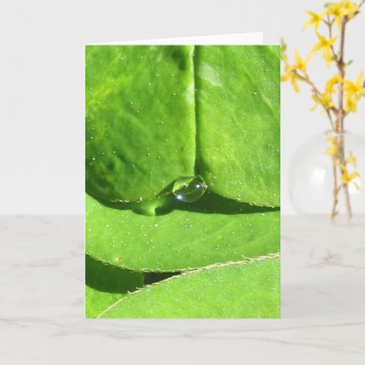 Naturegoddess Clover mit Dew Karte (Gelbe Blume)