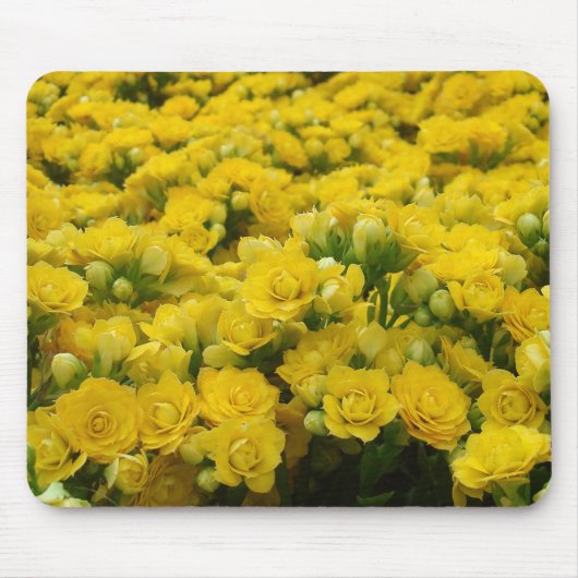 Naturei Lebhafte Gelbe Blume Blütenblume Foto Mousepad (Vorne)