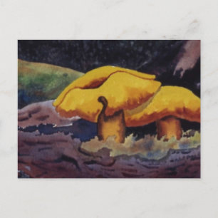 Natureinrichtungen Postkarte