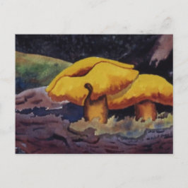 Natureinrichtungen Postkarte