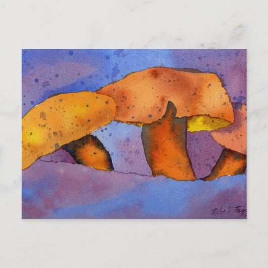 Natureinrichtungen Postkarte (Vorderseite)