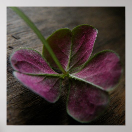 'naturelovesyou' Canvas Print Poster (Vorne)