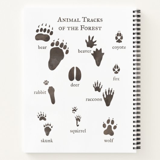 Natureportage Notizblock (Rückseite)