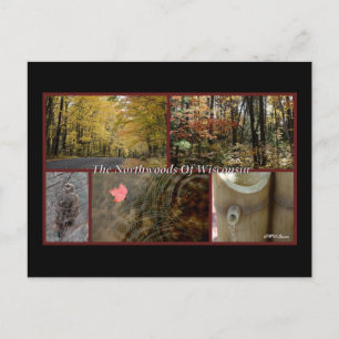Natureposter Northwoods Wisconsin Postkarte