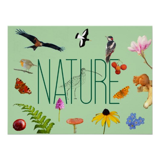 Natureposter Poster (Vorderseite)