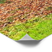 Natureposter Poster (Ecke)