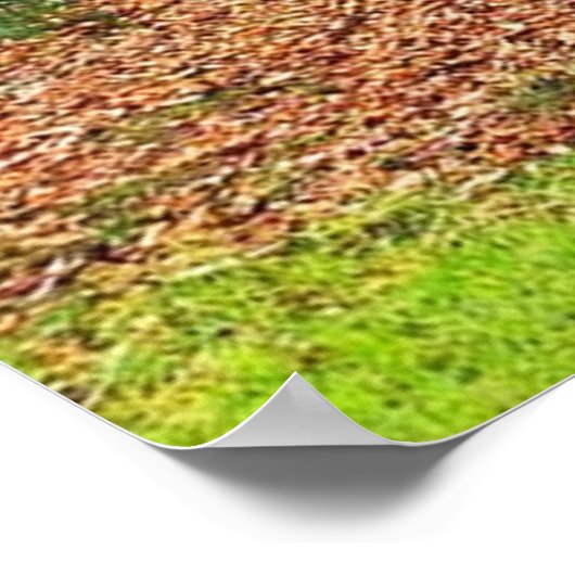 Natureposter Poster (Ecke)