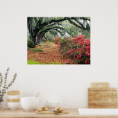 Natureposter Poster (Küche)