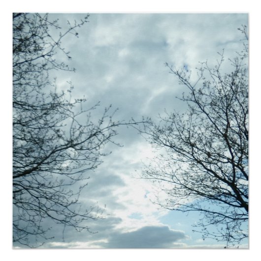 Natureposter Poster (Vorderseite)