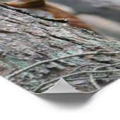 Natureposter Poster (Ecke)