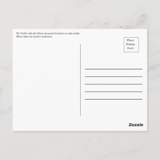 Nature's Ballet: Ein Tanz der Federn Postkarte (Rückseite)