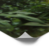 Natures Beauty Poster (Ecke)