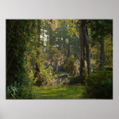 Natures Beauty Poster (Vorne)