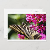 Natures Beauty Postkarte (Vorne/Hinten)