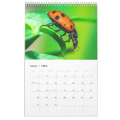 Nature's beauty: Small Sights Kalender (Mär 2026)