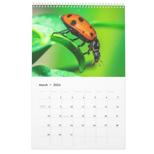 Nature's beauty: Small Sights Kalender (Mär 2026)