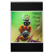 Nature's beauty: Small Sights Kalender (Titelbild)